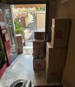 Esempio dalla galleria fotografica di N.T.R. NEW TECHNICAL REMOVAL