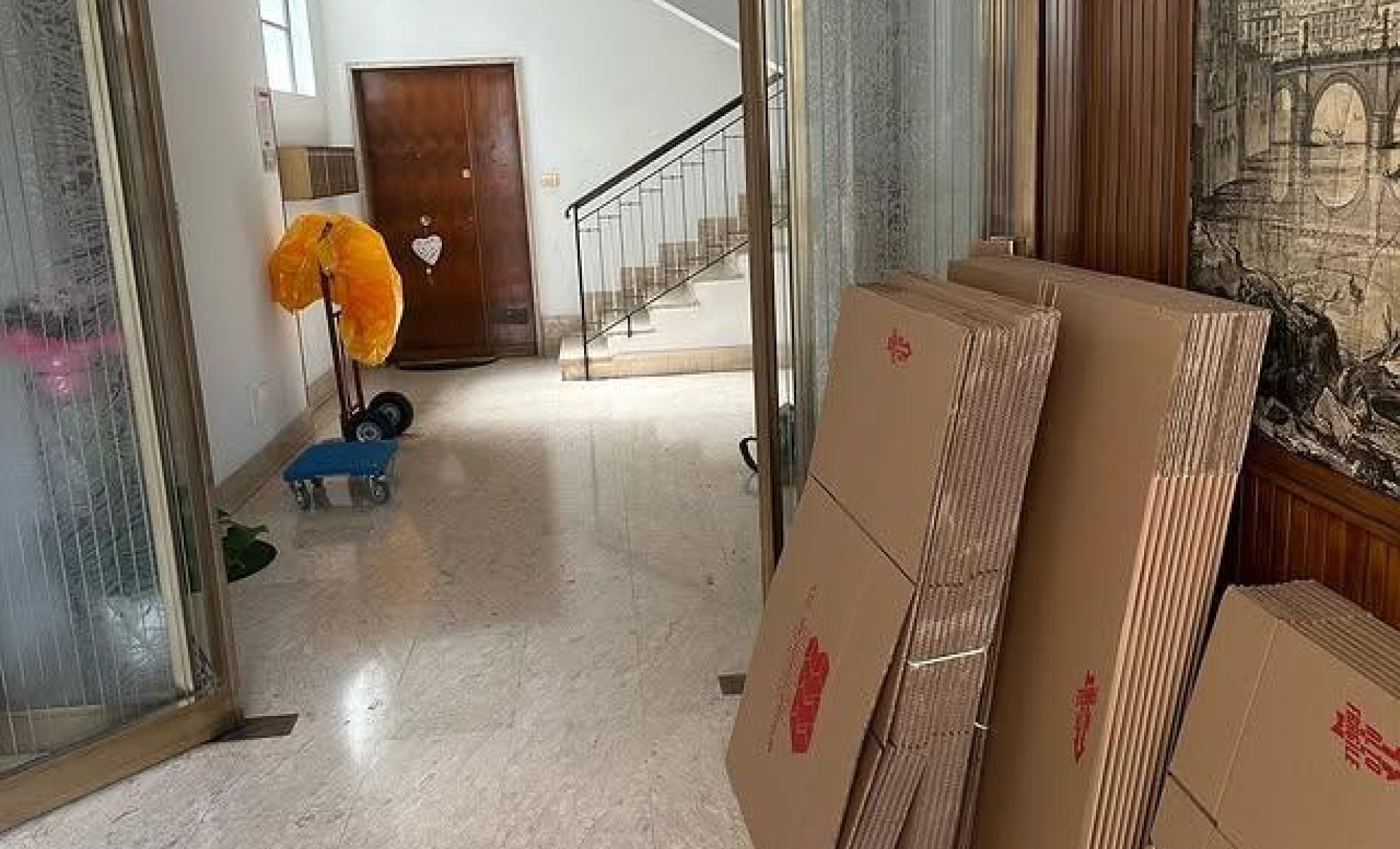 Esempio dalla galleria fotografica di N.T.R. NEW TECHNICAL REMOVAL