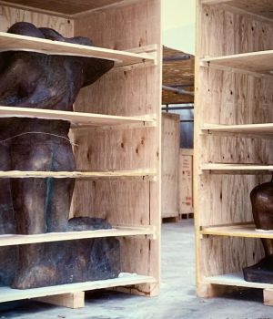 Esempio dalla galleria fotografica di N.T.R. NEW TECHNICAL REMOVAL